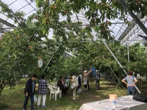 令和元年、開園いたしました！